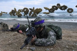 Ảnh minh họa. (Nguồn: AFP/TTXVN)