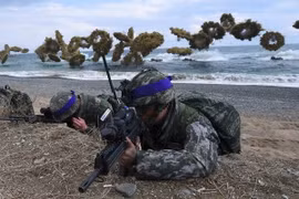 Ảnh minh họa. (Nguồn: AFP/TTXVN)