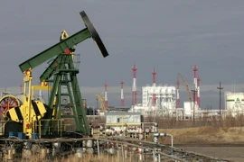 Ảnh minh họa. (Nguồn: AFP/TTXVN)