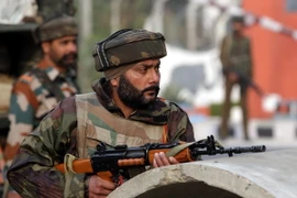 Ảnh minh họa. (Nguồn: EPA/TTXVN)