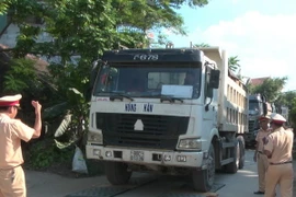 Ảnh minh họa. (Nguồn: TTXVN)