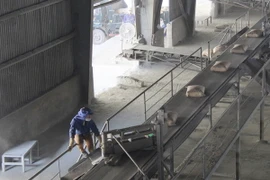 Ảnh minh họa. (Nguồn: TTXVN)