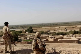 Ảnh minh họa. (Nguồn: AFP/TTXVN)