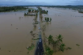 Ảnh minh họa. (Nguồn: AFP/TTXVN)