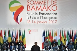 Các nhà lãnh đạo Châu Phi tham dự tại Hội nghị cấp cao Pháp - Châu Phi ở Bamako ngày 14/1. (Nguồn: AFP/TTXVN)