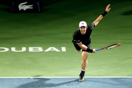 Tay vợt số 1 thế giới Andy Murray. (Nguồn: EPA/TTXVN)