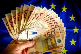 Những tờ tiền giấy mệnh giá 50 Euro trưng bày tại Lille, Pháp. (Nguồn: AFP/TTXVN) 