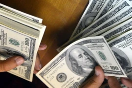 Ảnh minh họa. (Nguồn: AFP/TTXVN)