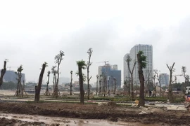 Ảnh minh họa. (Nguồn: TTXVN)