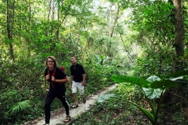 Khám phá khu rừng rộng hàng nghìn hecta cách Hà Nội 50km