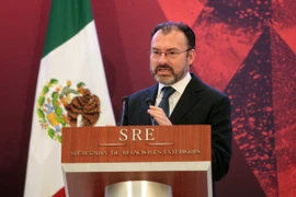 Ngoại trưởng Mexico, ông Luis Videgaray. (Nguồn: EPA/TTXVN)