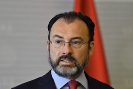 Ngoại trưởng Mexico Luis Videgaray. (Nguồn: AFP/TTXVN)