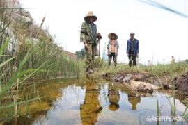 Ám ảnh những ngôi làng ung thư tại Trung Quốc