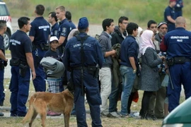 Ảnh minh họa. (Nguồn: AFP/TTXVN)