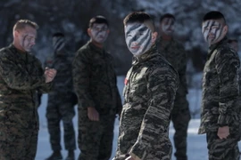 Lính thủy đánh bộ Mỹ và Hàn Quốc tham gia cuộc tập trận tại Pyeongchang. (Nguồn: EPA/TTXVN) 