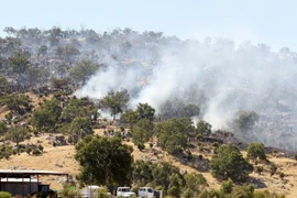 Ảnh minh họa. (Nguồn: EPA/TTXVN)