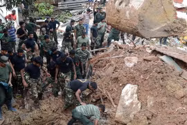 Ảnh minh họa. (Nguồn: AFP/TTXVN)