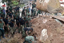 Ảnh minh họa. (Nguồn: AFP/TTXVN)