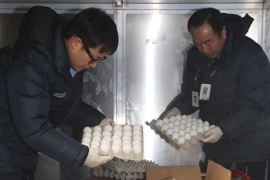 Nhân viên kiểm tra số trứng nhập khẩu từ Mỹ tại sân bay quốc tế Incheon. (Nguồn: Yonhap/TTXVN) 