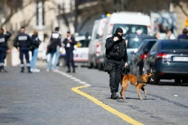 Ảnh minh họa. (Nguồn: AFP/TTXVN)