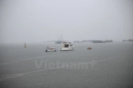 Ảnh minh họa. (Nguồn: Vietnam+)