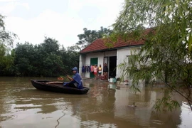 Thuyền là phương tiện duy nhất để có thể di chuyển vào sâu trong xóm 1, xã Vượng Lộc, huyện Can Lộc khi có chỗ nước sâu hơn 1 mét. (Ảnh: Thanh Tùng/TTXVN)