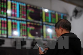 Nhà đầu tư theo dõi tỷ giá chứng khoán tại thành phố Vũ Hán, tỉnh Hồ Bắc, miền Trung Trung Quốc. (Nguồn: AFP/TTXVN)