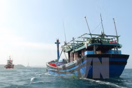 Ảnh minh họa. (Nguồn: TTXVN)