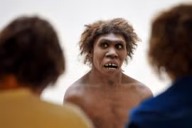 Người Neanderthal. (Nguồn: Getty)