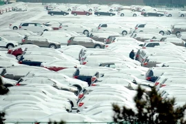 Ảnh minh họa. (Nguồn: THX/TTXVN)