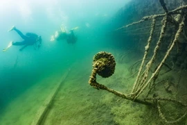 Thợ lặn đang tìm cách bơi qua hàng rào dây thép gai của nhà tù ở dưới nước. (Nguồn: Dailymail)