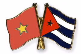 Ảnh minh họa. (Nguồn: crossed-flag-pins.com)