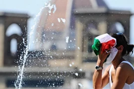 Ảnh minh họa. (Nguồn: ANSA)