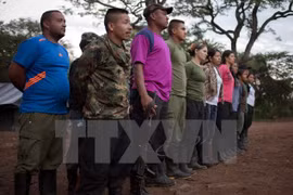 Các tay súng FARC tại một căn cứ ở Conejo, La Guajira, Colombia ngày 6/12. (Nguồn: EPA/TTXVN)