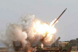 Ảnh minh họa. (Nguồn: AFP/TTXVN)