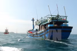 Ảnh minh họa. (Nguồn: TTXVN)
