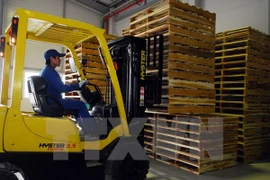 Ảnh minh họa. (Ảnh: Danh Lam/TTXVN)