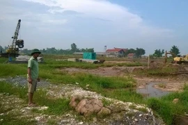 Ảnh minh họa. (Nguồn: Vietnam+) 