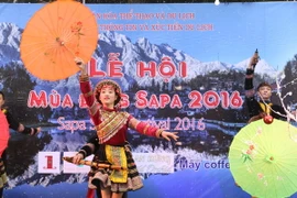 Biểu diễn ca múa nhạc dân tộc tại lễ hội. (Ảnh: Huy Thông/TTXVN) 