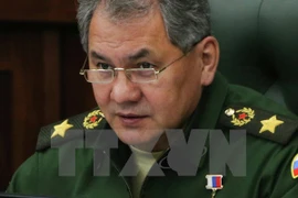 Bộ trưởng Quốc phòng Nga Sergei Shoigu. (Nguồn: AFP/TTXVN)
