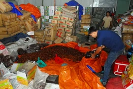 Số mứt bẩn không đảm bảo vệ sinh đang được đóng hộp để đưa ra thị trường trong dịp Tết. (Ảnh: Mạnh Linh/TTXVN)