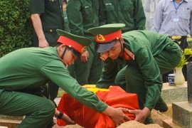 Ảnh minh họa. (Nguồn: TTXVN)