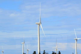 Ảnh minh họa. (Nguồn: TTXVN)