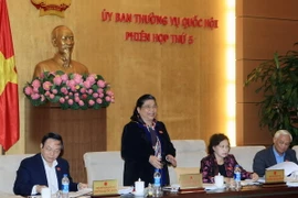 Phó Chủ tịch Quốc hội Tòng Thị Phóng phát biểu tại buổi thảo luận. (Ảnh: Phạm Kiên/TTXVN)