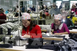 Đại sứ Việt Nam tại Indonesia Hoàng Anh Tuấn (giữa) chia sẻ kinh nghiệm của Việt Nam. (Ảnh : Đỗ Quyên/TTXVN)