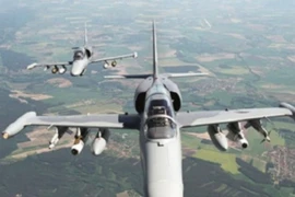 Máy bay chiến đấu L-159. (Nguồn: RIA)