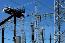 Ảnh minh họa. (Ảnh: Ngọc Hà/TTXVN)