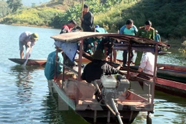 Ảnh minh họa. (Nguồn: TTXVN)