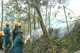 Ảnh minh họa. (Nguồn: TTXVN)