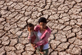 Ảnh minh họa. (Nguồn: TTXVN)